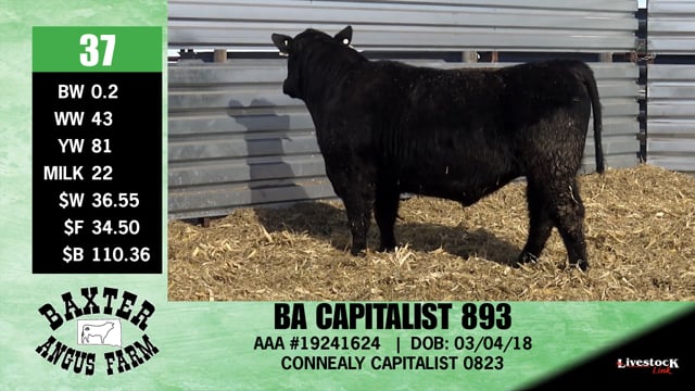 Lot #37 - BA CAPITALIST 893