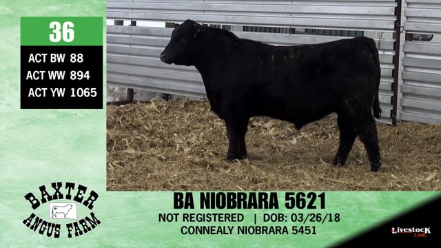 Lot #36 - BA NIOBRARA 5621