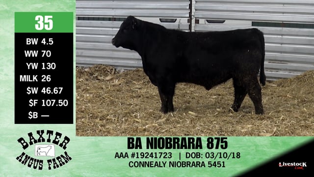 Lot #35 - BA NIOBRARA 875