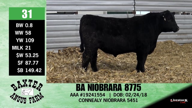Lot #31 - BA NIOBRARA 8775