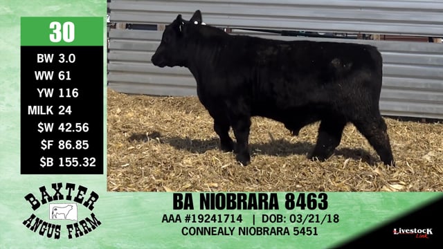 Lot #30 - BA NIOBRARA 8463