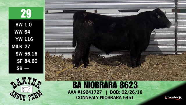 Lot #29 - BA NIOBRARA 8623
