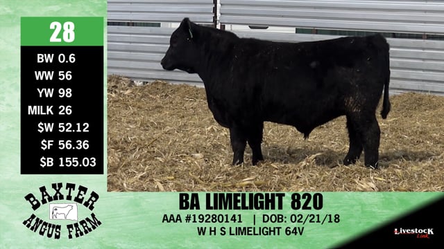Lot #28 - BA LIMELIGHT 820