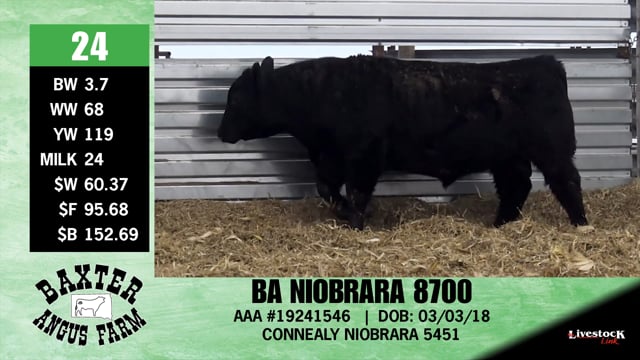Lot #24 - BA NIOBRARA 8700