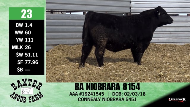 Lot #23 - BA NIOBRARA 8154
