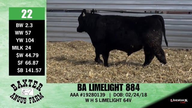Lot #22 - BA LIMELIGHT 884