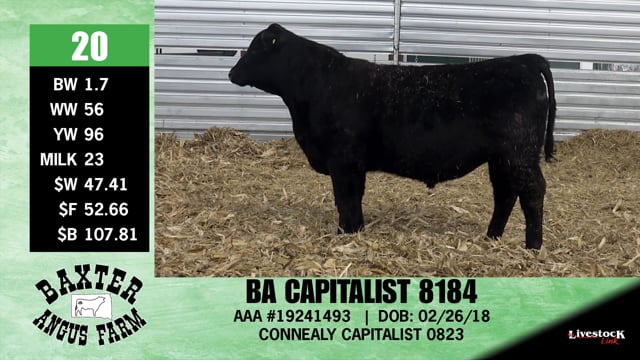 Lot #20 - BA CAPITALIST 8184