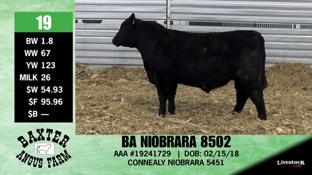 Lot #19 - BA NIOBRARA 8502