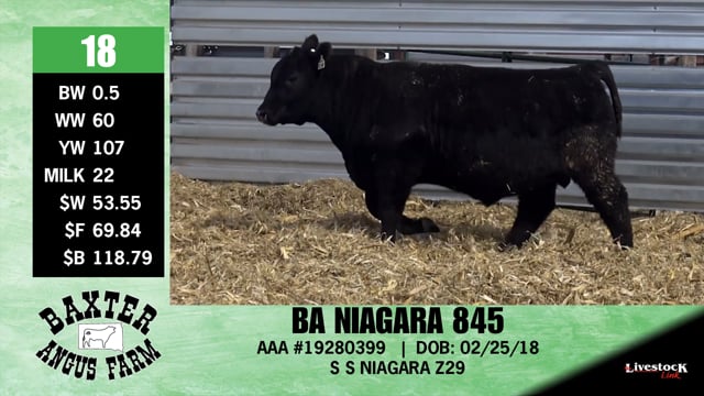 Lot #18 - BA NIAGARA 845