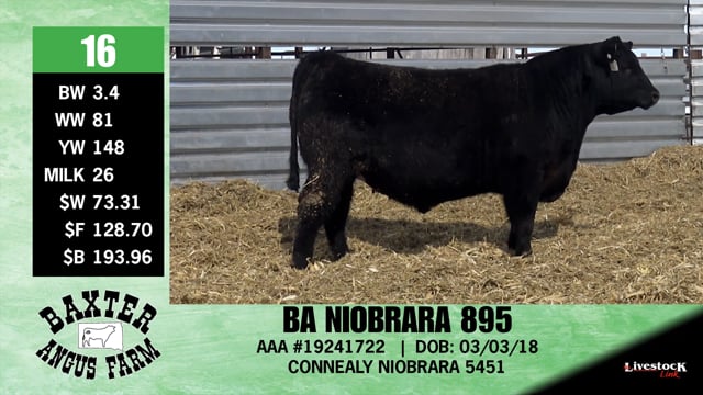 Lot #16 - BA NIOBRARA 895
