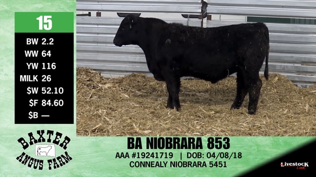 Lot #15 - BA NIOBRARA 853