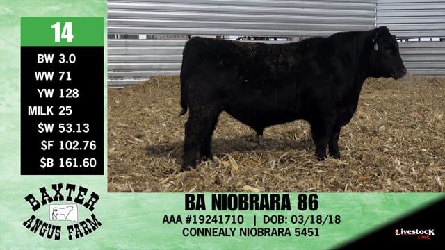 Lot #14 - BA NIOBRARA 86