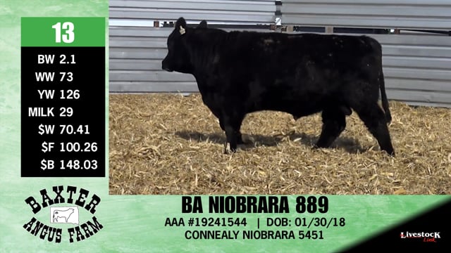 Lot #13 - BA NIOBRARA 889
