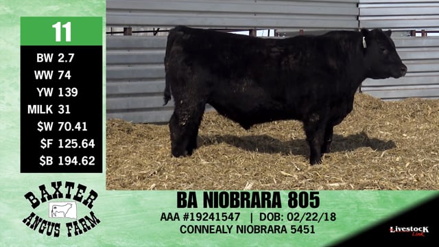 Lot #11 - BA NIOBRARA 805