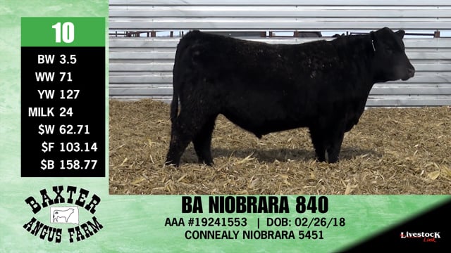 Lot #10 - BA NIOBRARA 840
