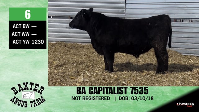 Lot #6 - BA CAPITALIST 7535