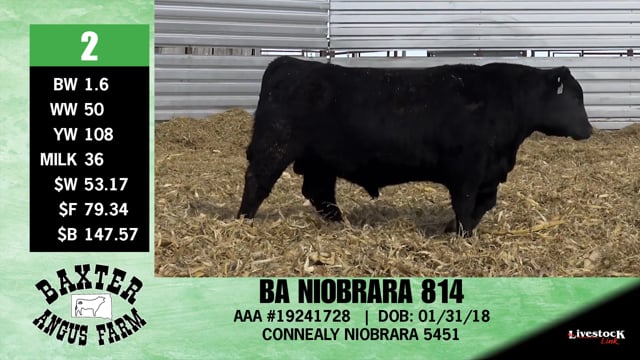 Lot #2 - BA NIOBRARA 814