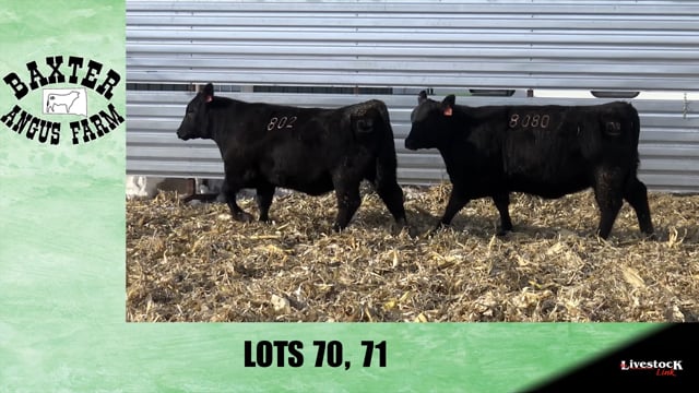 Lot #70 - BA NIOBRARA 8080