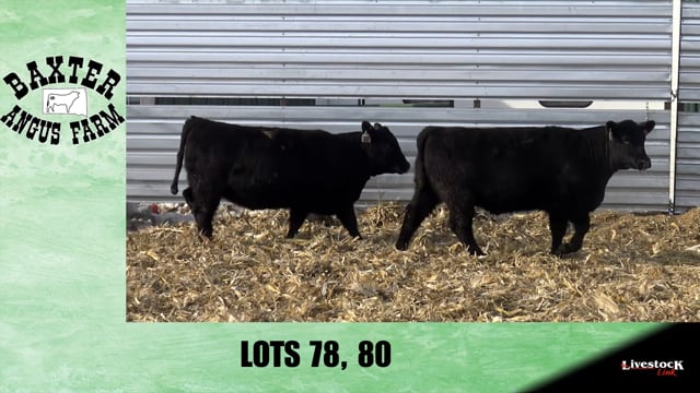 Lot #78 - BA NIOBRARA 8400