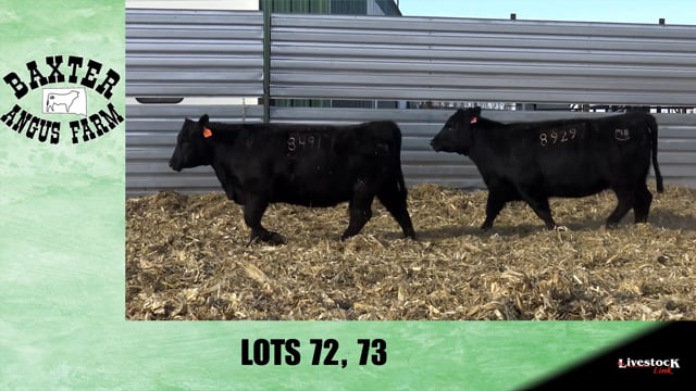 Lot #72 - BA NIOBRARA 8491