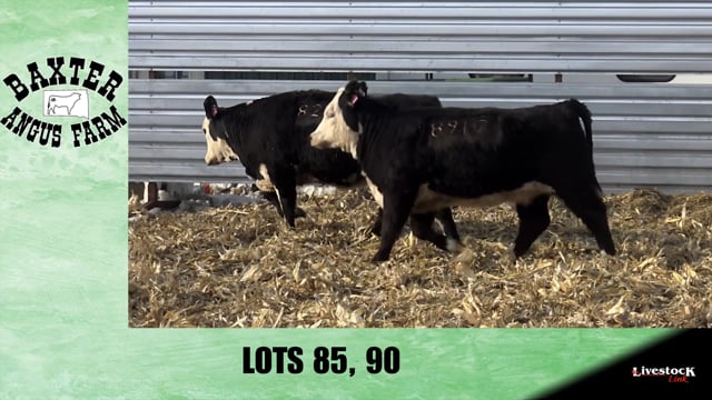 Lot #85 - BA TROUBADOUR 824