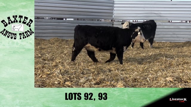 Lot #92 - BA BALDNER 8220
