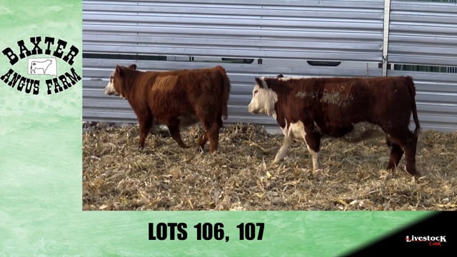 Lot #106 - BA BALDNER 808