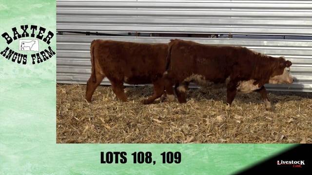 Lot #108 - BA BALDNER 8657
