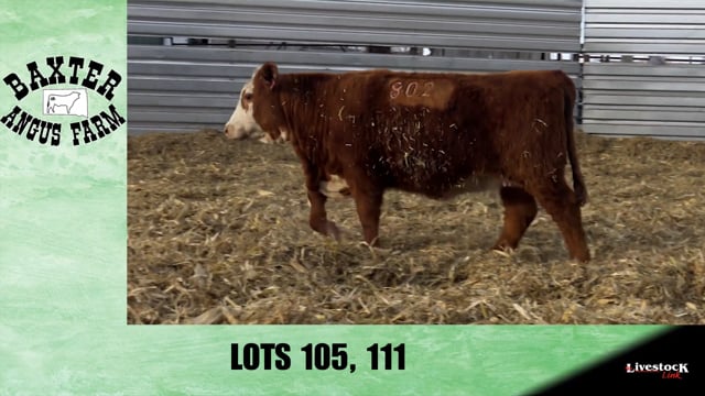 Lot #105 - BA ZEUS 802