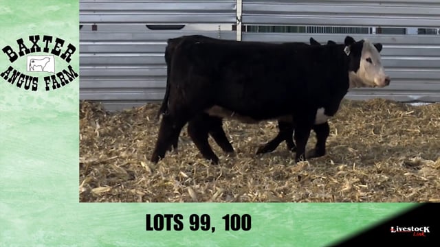 Lot #99 - BA TROUBADOUR 874
