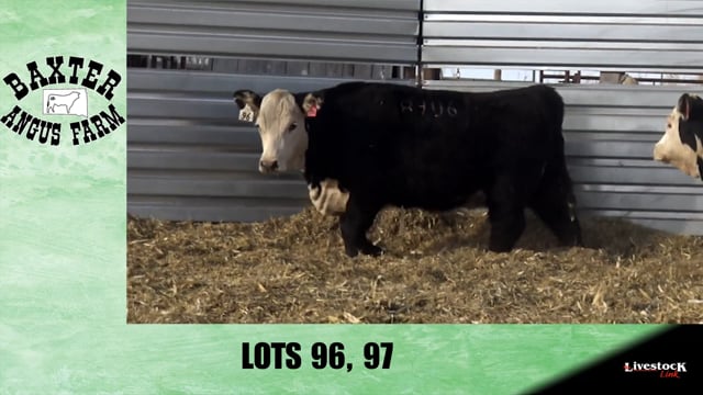 Lot #96 - BA BALDNER 6930 8906