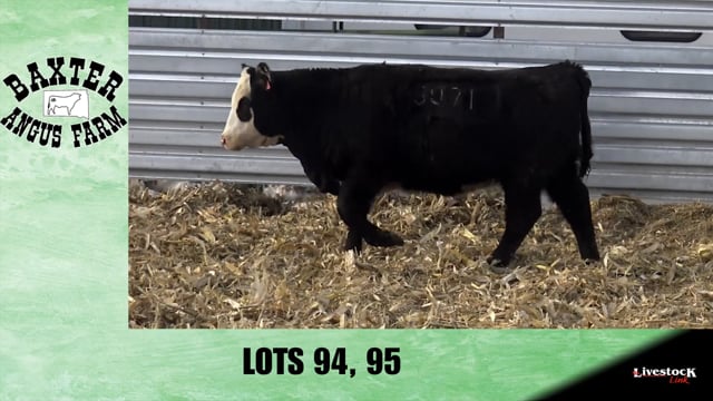 Lot #94 - BA FOUNDATION 8071