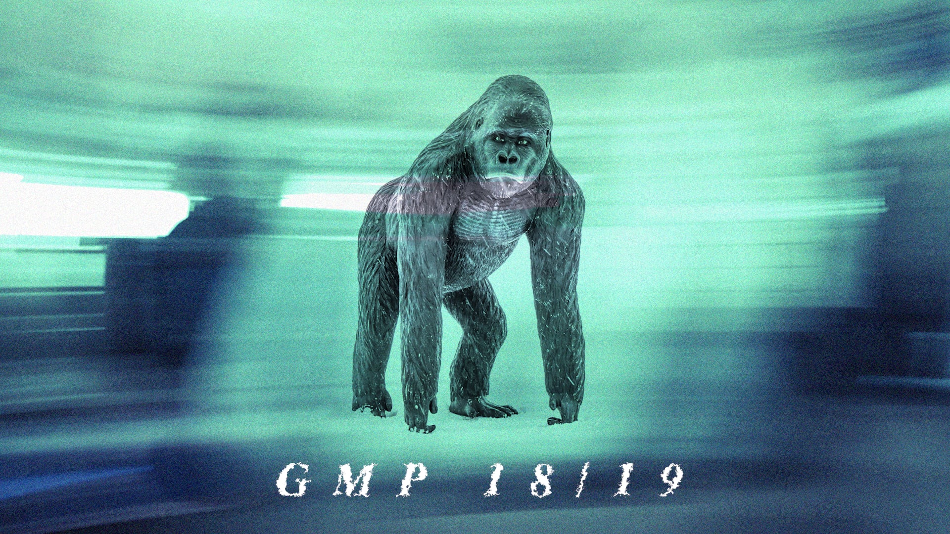 GMP 2018/19 (Gran Masta Park Adelboden) - THE SQAD