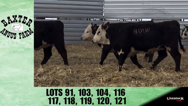Lot #91 - BA TROUBADOUR 8421