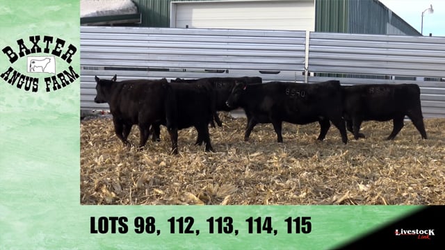 Lot #98 - BA ZEUS 8845