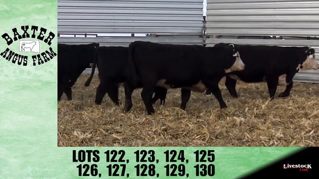 Lot #126 - BA GAMETIME 8364