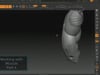 Working with Muscle Part 4