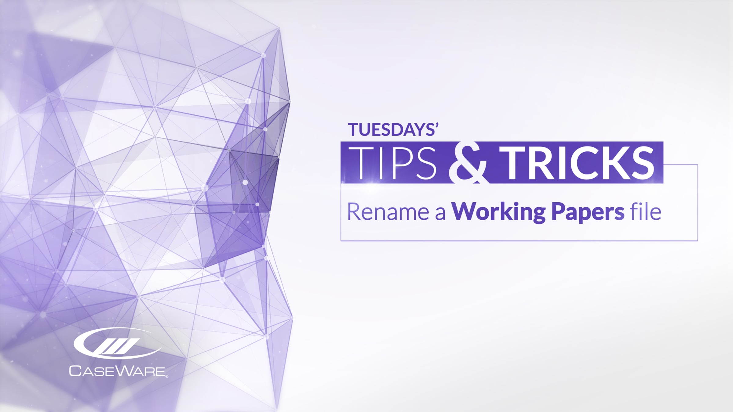Tips & Tricks: Rename a file in CaseWare Working Papers | Videos ...