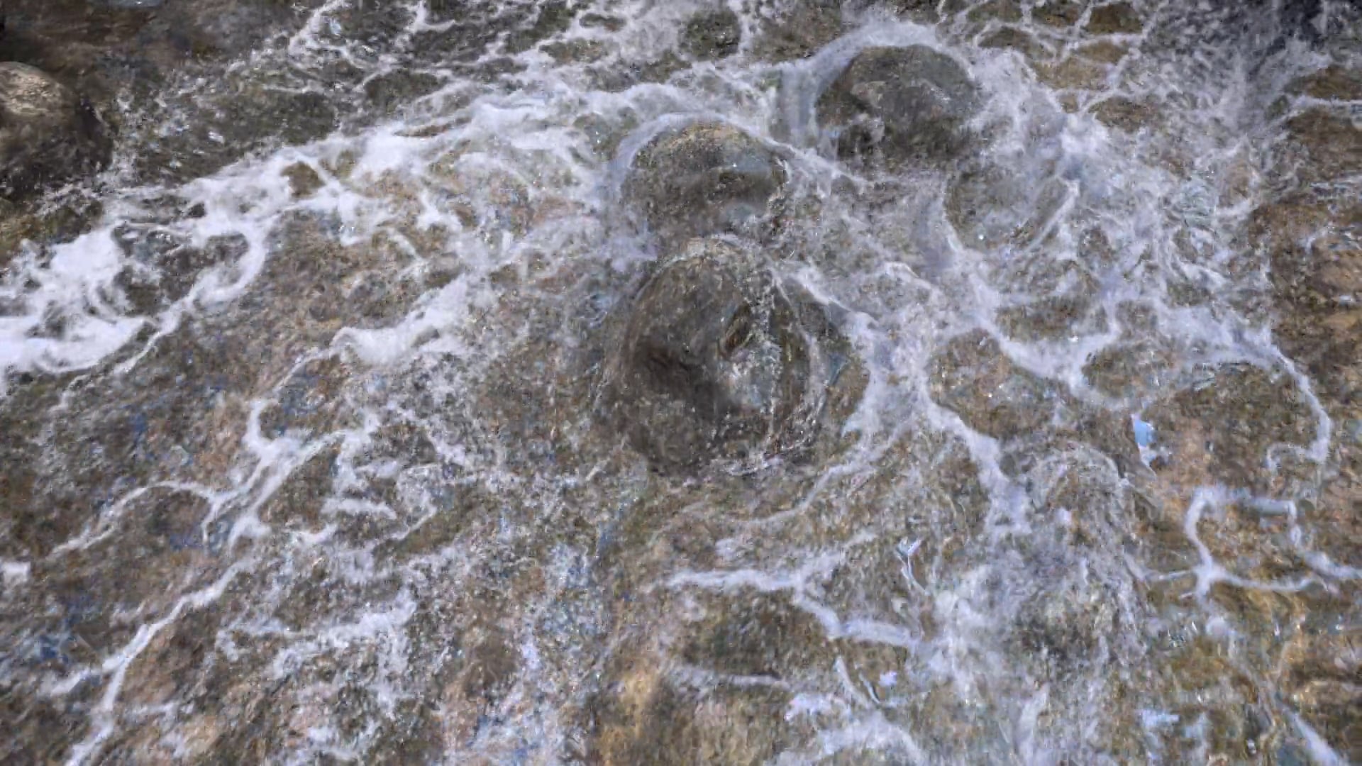 Houdini River Simulation