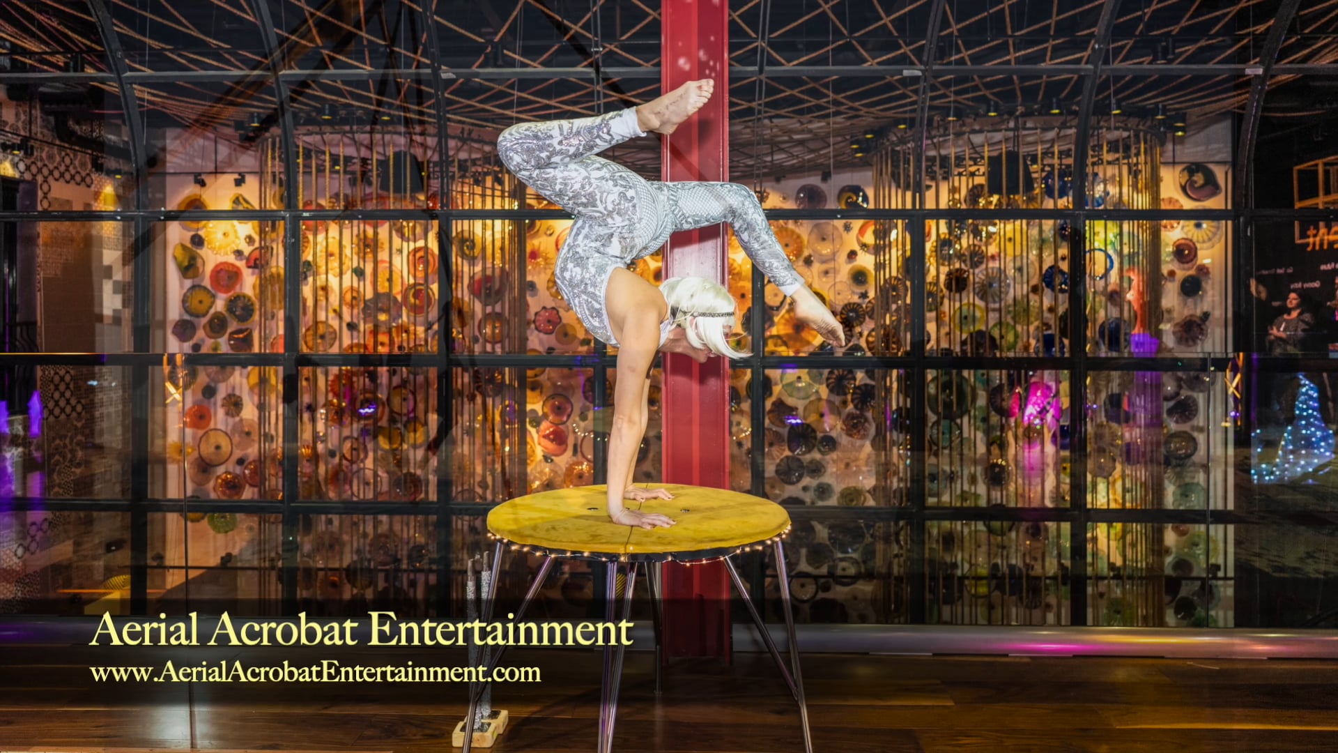 Promotional video thumbnail 1 for Aerial Acrobat & Circus Entertainment