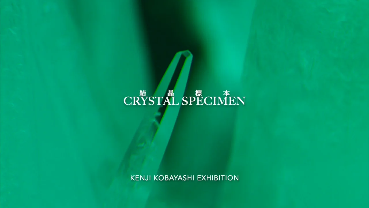 Kenji Kobayashi Exhibition 2019