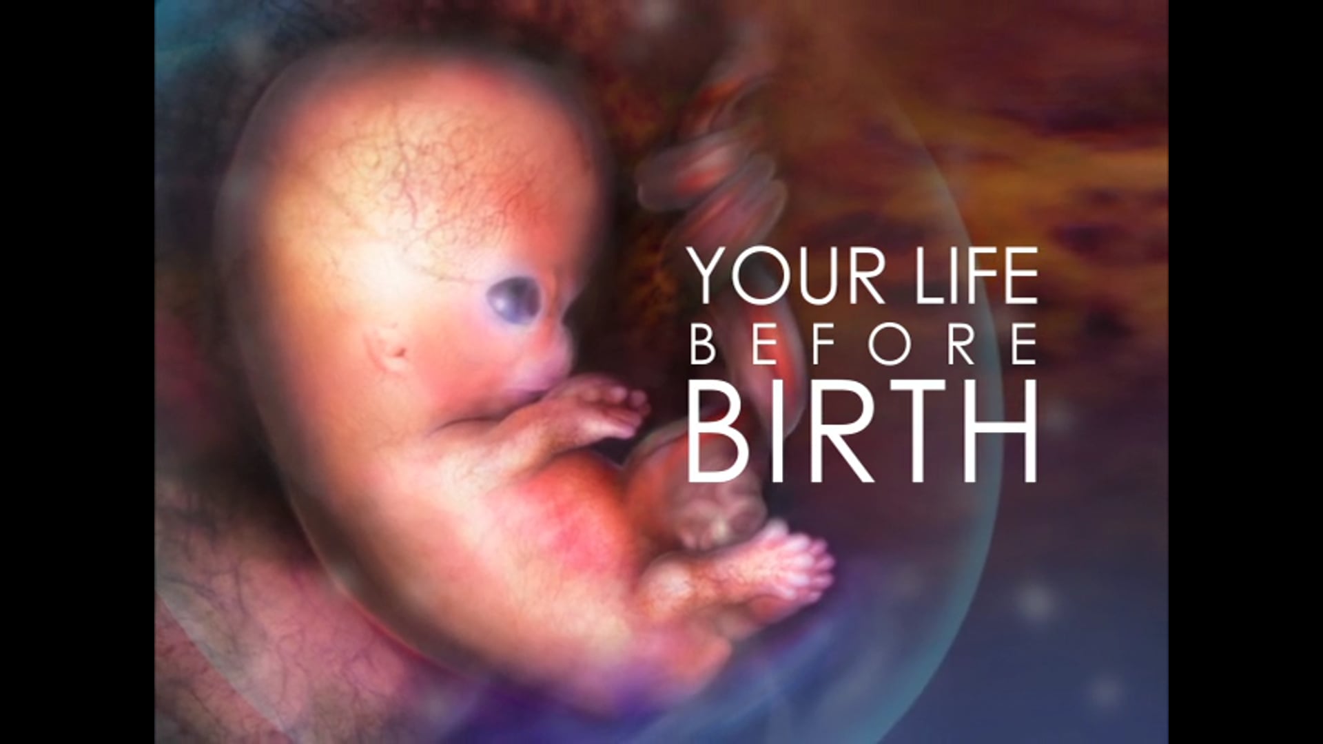 Your Life Before Birth