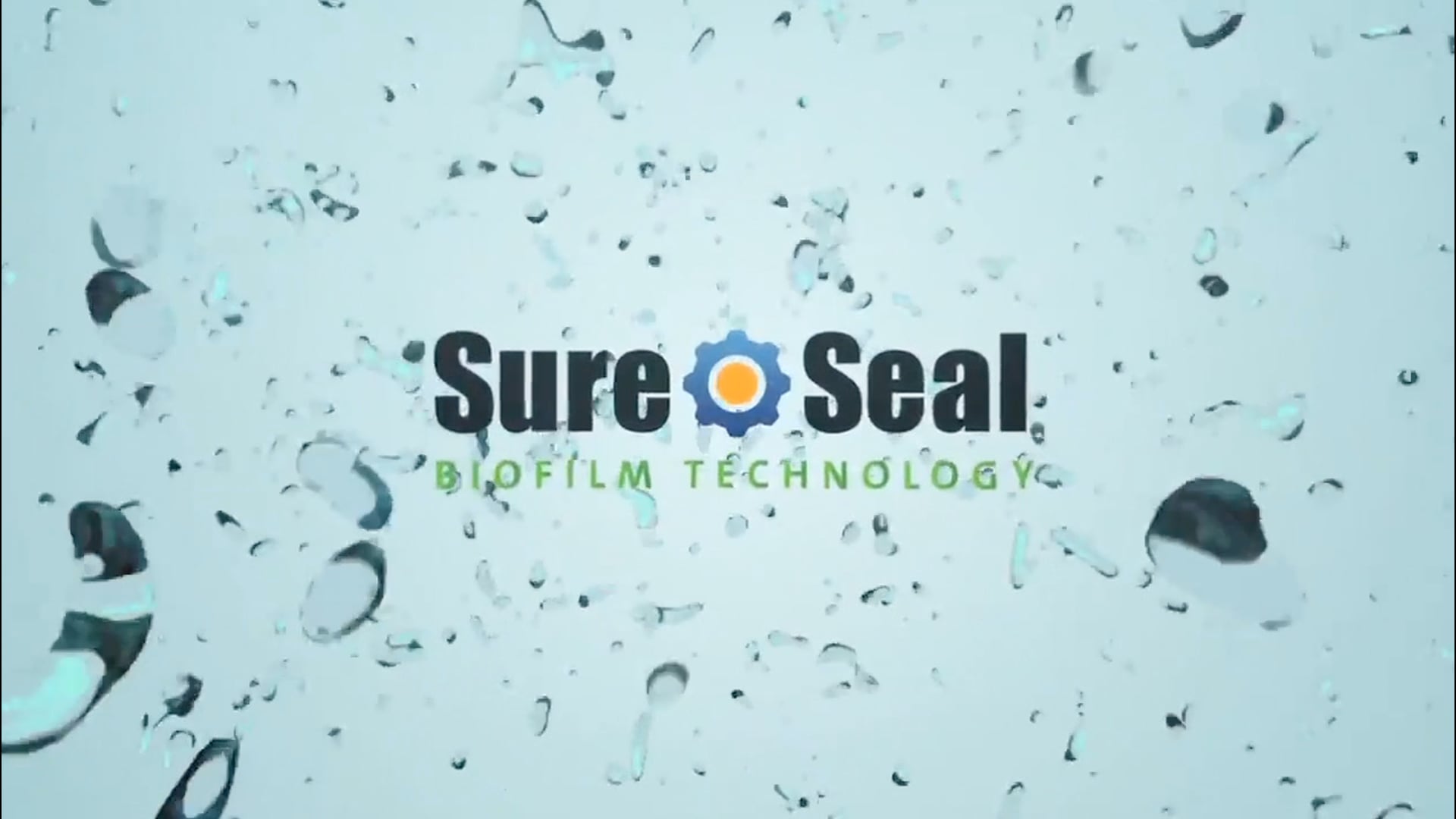 Cultiva: It All Goes Back to the Cuticle