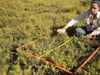 6 Ecosystem survey techniques: quadrats
