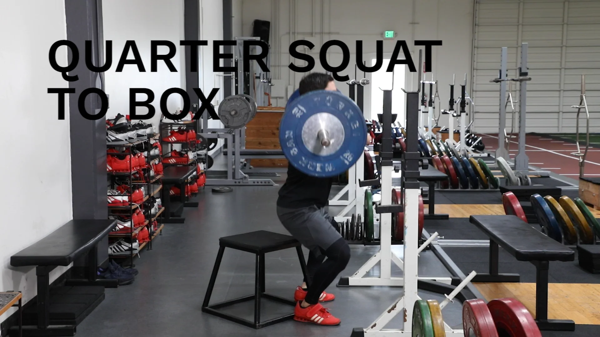 Dumbbell box squat instructions and videos