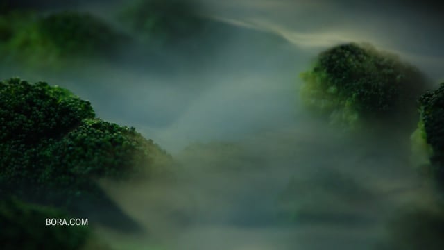 Related Embedded Video Item Thumbnail
