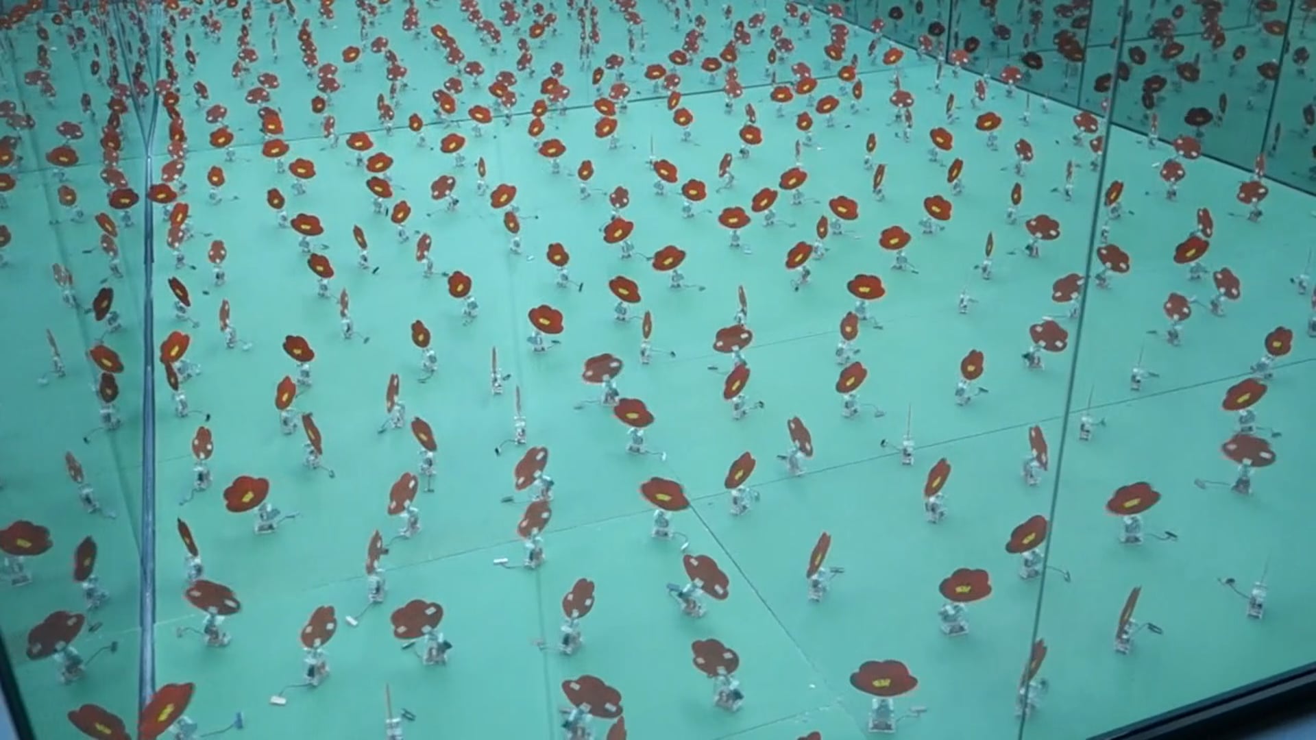 "Champ de Fleur à l'Infini", Elektrownia Cultural Center, Radom, Poland, 2017
