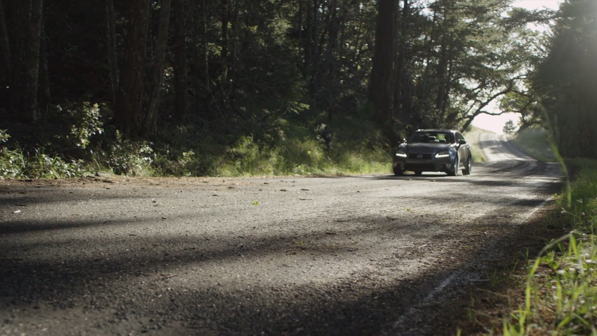 Toyo Tires / Full Line Commercial