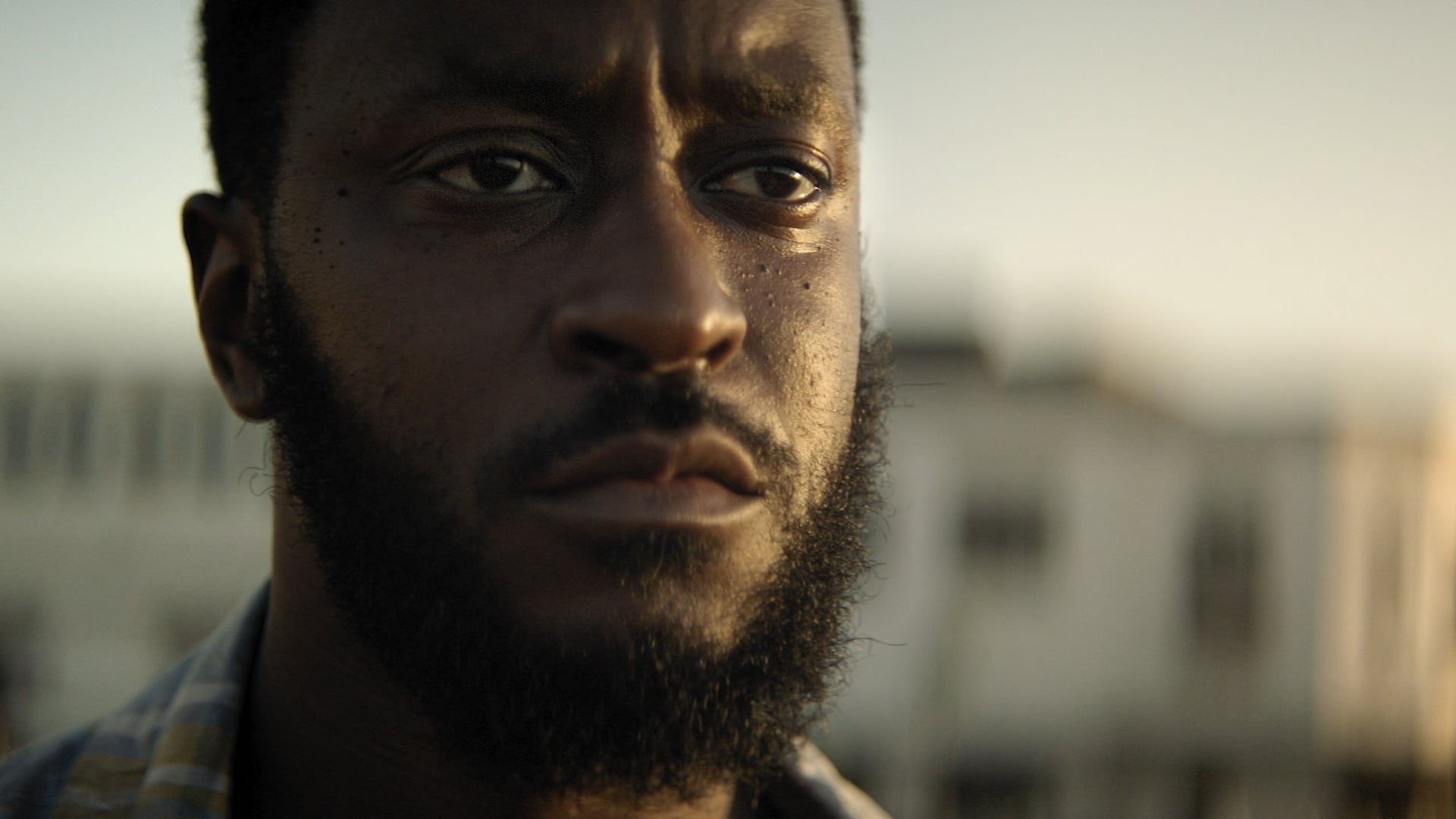 TXILAR - HEINEKEN BEER