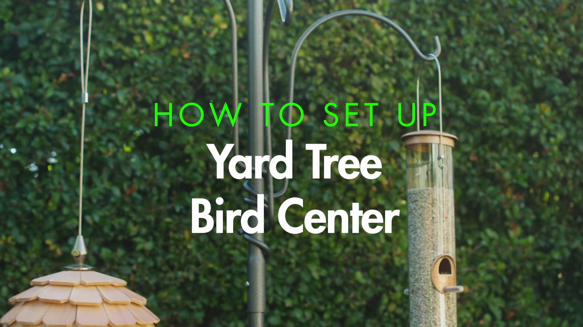 Yard Tree Bird Center on Vimeo